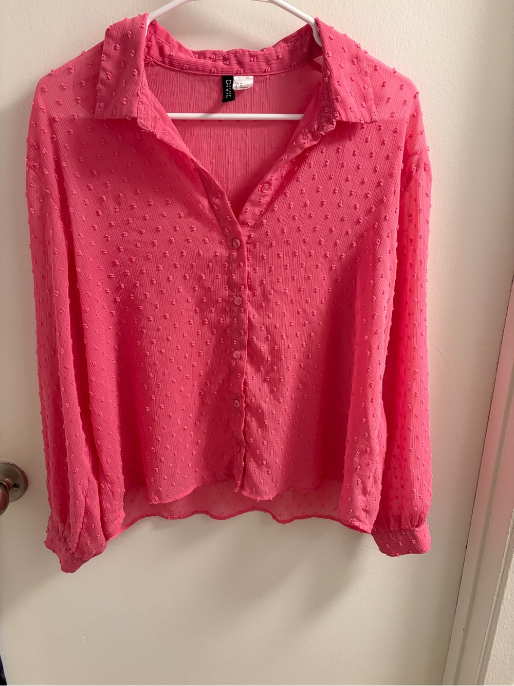 H&M Divided Pink Swiss Dot Sheer Button Down Coquette Blouse Size 8P Minimalist